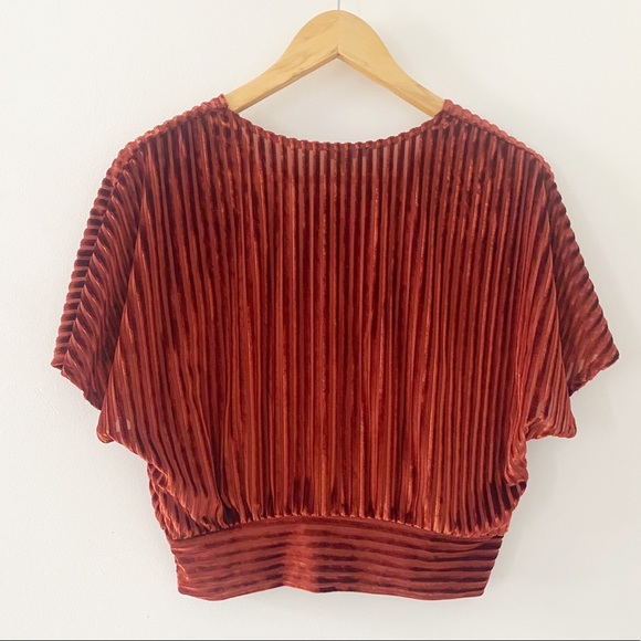 NWT Dynamite velvet crop top striped short sleeve - Picture 4 of 4